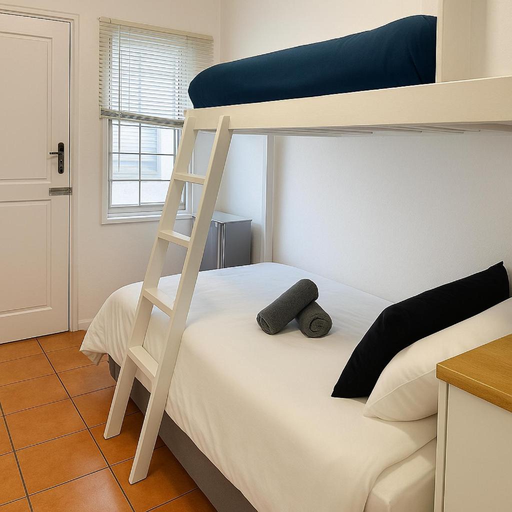 Green Elephant Backpackers Cape Town Rom bilde